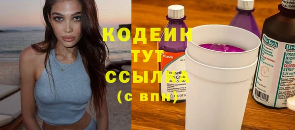 мдпв Гусев