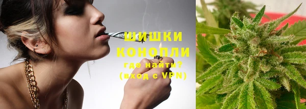 мдпв Гусев