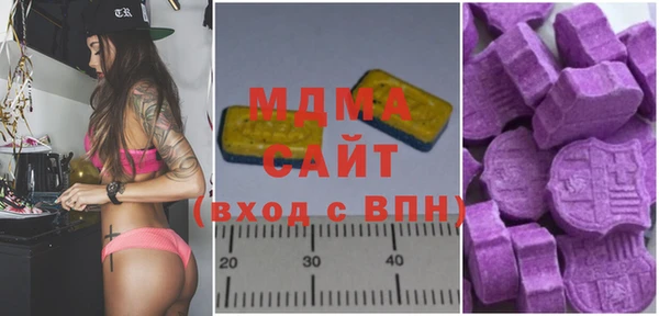 мдпв Гусев