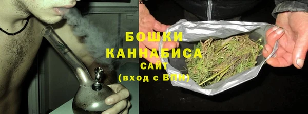 мдпв Гусев