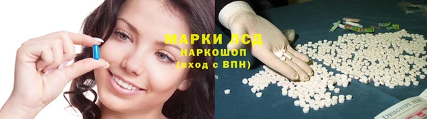 мдпв Гусев