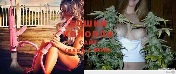 мдпв Гусев