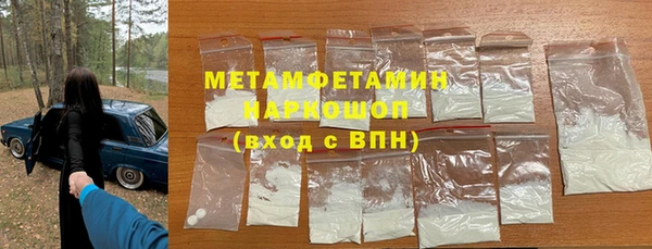 мдпв Гусев