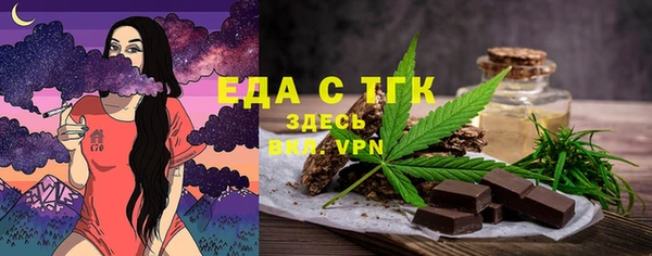 мдпв Гусев