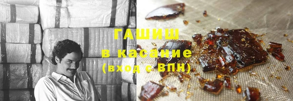 мдпв Гусев