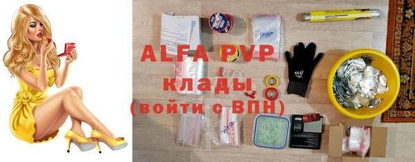 мдпв Гусев
