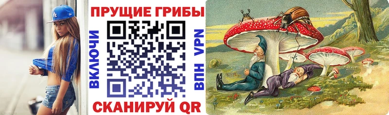 Псилоцибиновые грибы мицелий Знаменск
