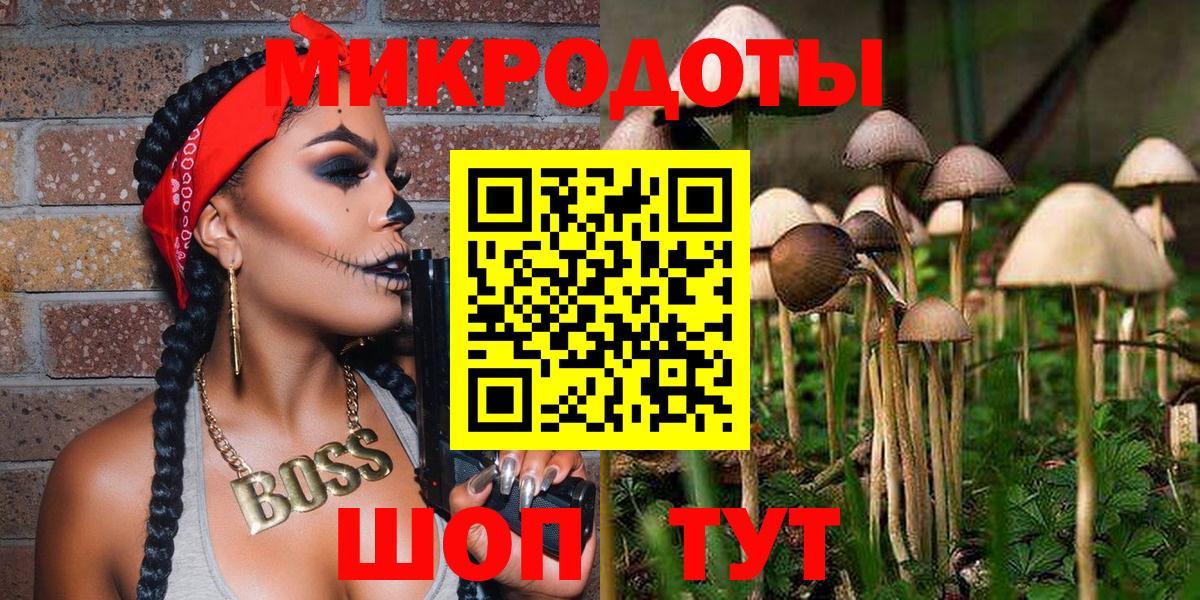 Псилоцибиновые грибы прущие грибы Знаменск